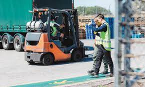 management of plant training